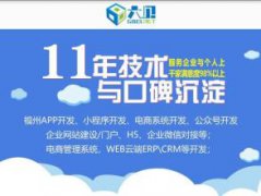 软件开发 系统软件、应用软件、网站开发等